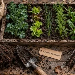 Quand retourner la terre du potager : sol ressuyé en automne