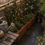 Plantes brise vue sur treillis bois, balcon et clôture